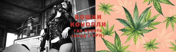 apvp Богородицк