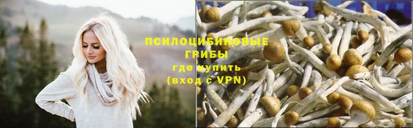 гидропоника Богородск