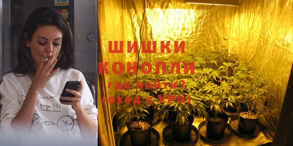 бутират Богданович