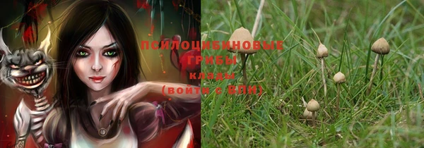 бутират Богданович