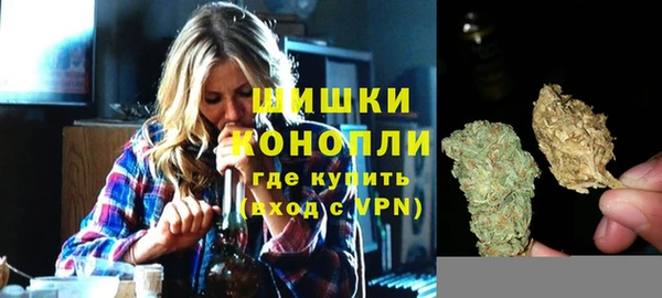 apvp Богородицк