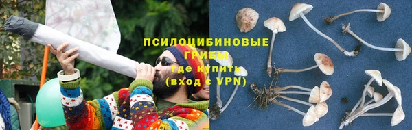 бутират Богданович
