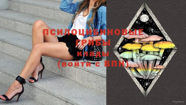 apvp Богородицк