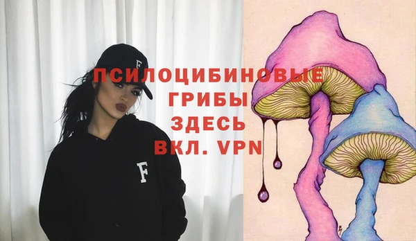 гидропоника Богородск