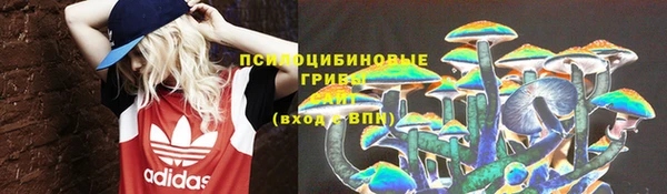 apvp Богородицк